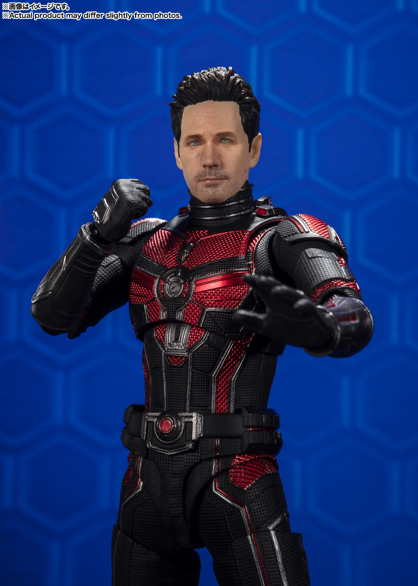 S.H.Figuarts "Ant-Man and the Wasp: Quantumania" Ant-Man (Ant-Man and the Wasp: Quantumania) | animota