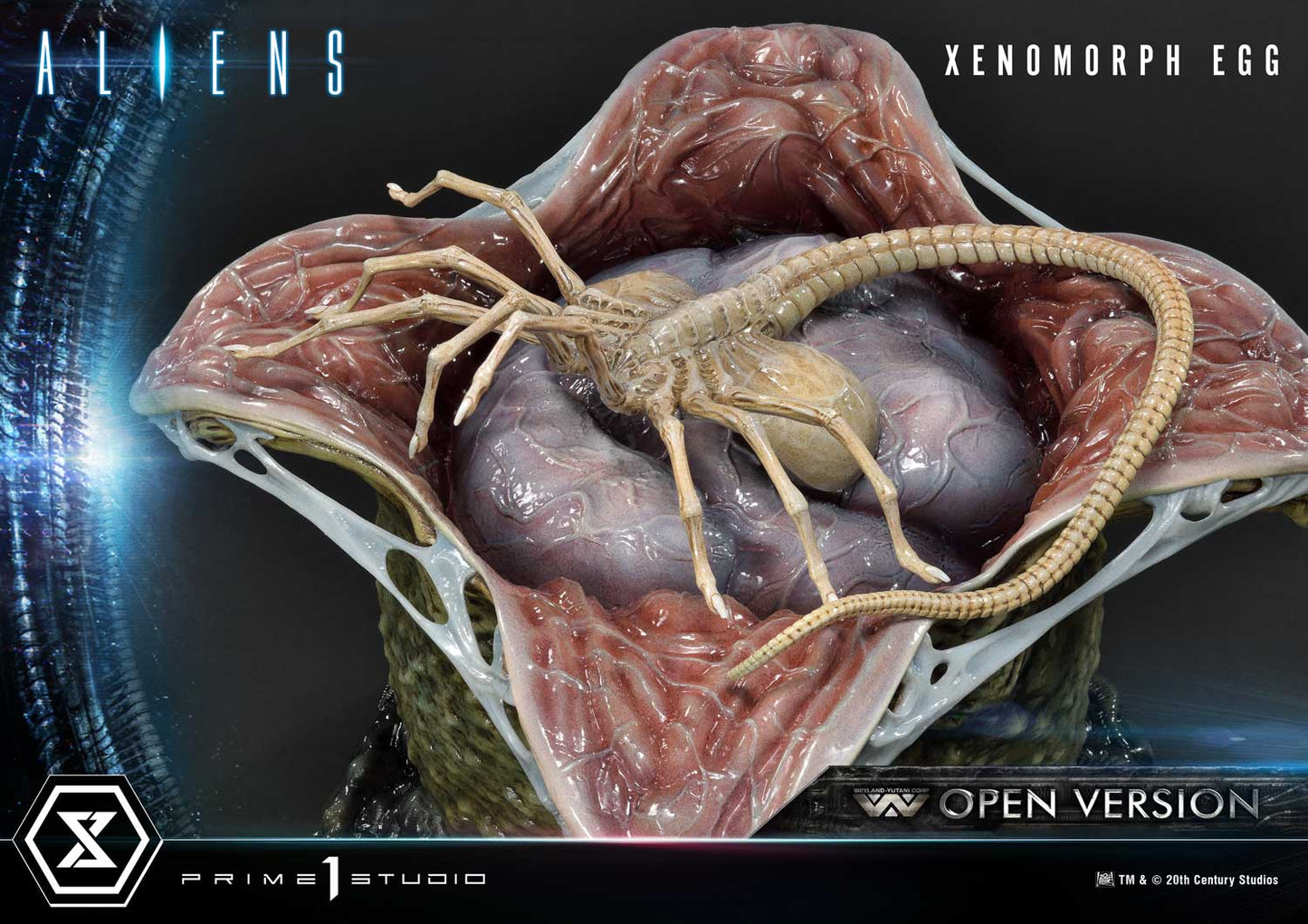 Premium Masterline "Aliens" Dark Horse Comics Xenomorph Egg Open Version | animota