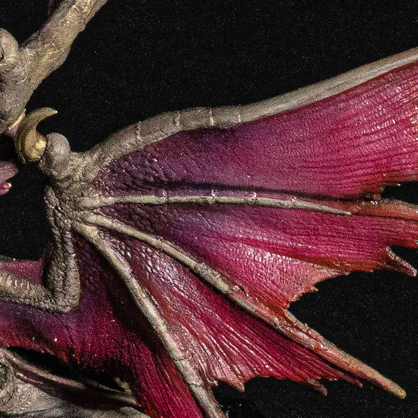 CAPCOM FIGURE BUILDER CUBE MONSTER HUNTER Silver Duke Dragon Malzeno Complete Figure | animota