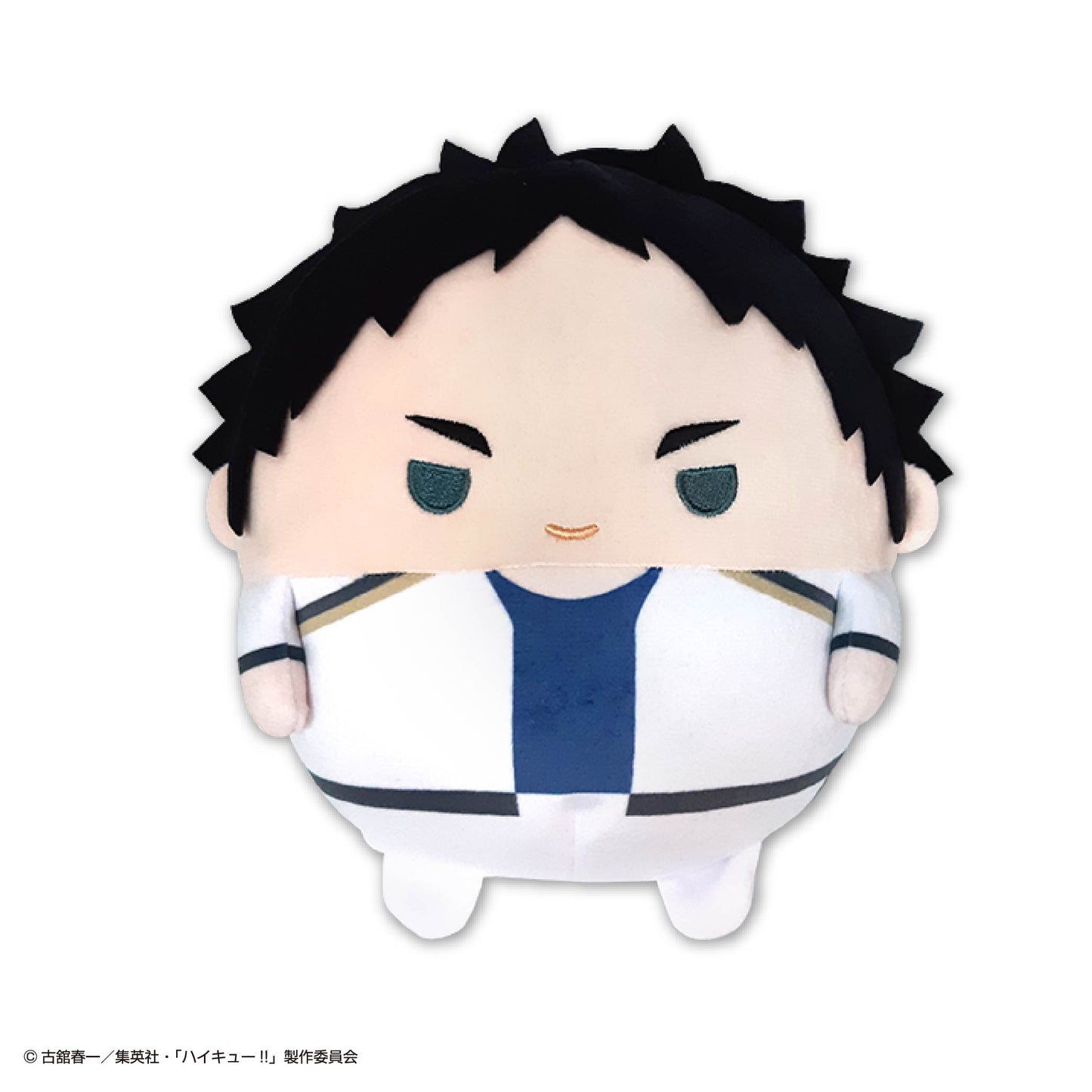 【Resale】HQ-52 "Haikyu!!" Fuwakororin (M Size) Special G Akaashi Keiji, Stuffed Animals, animota