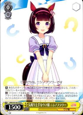 Nishino Flower UMA/W106-026 C