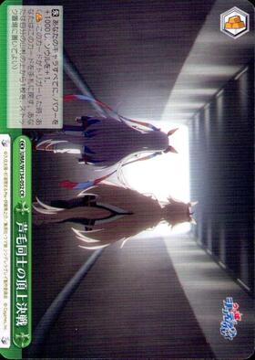 Summit Battle Between Gray-Haired Runners UMA/W134-052 CR