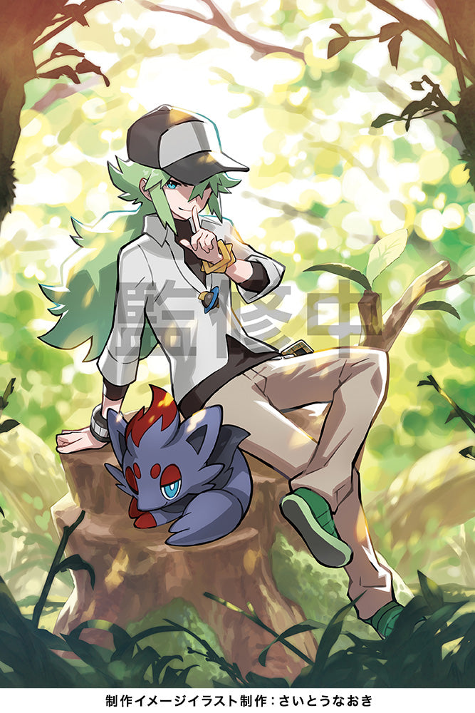 Pokemon Center Original Figure N&Zoroa