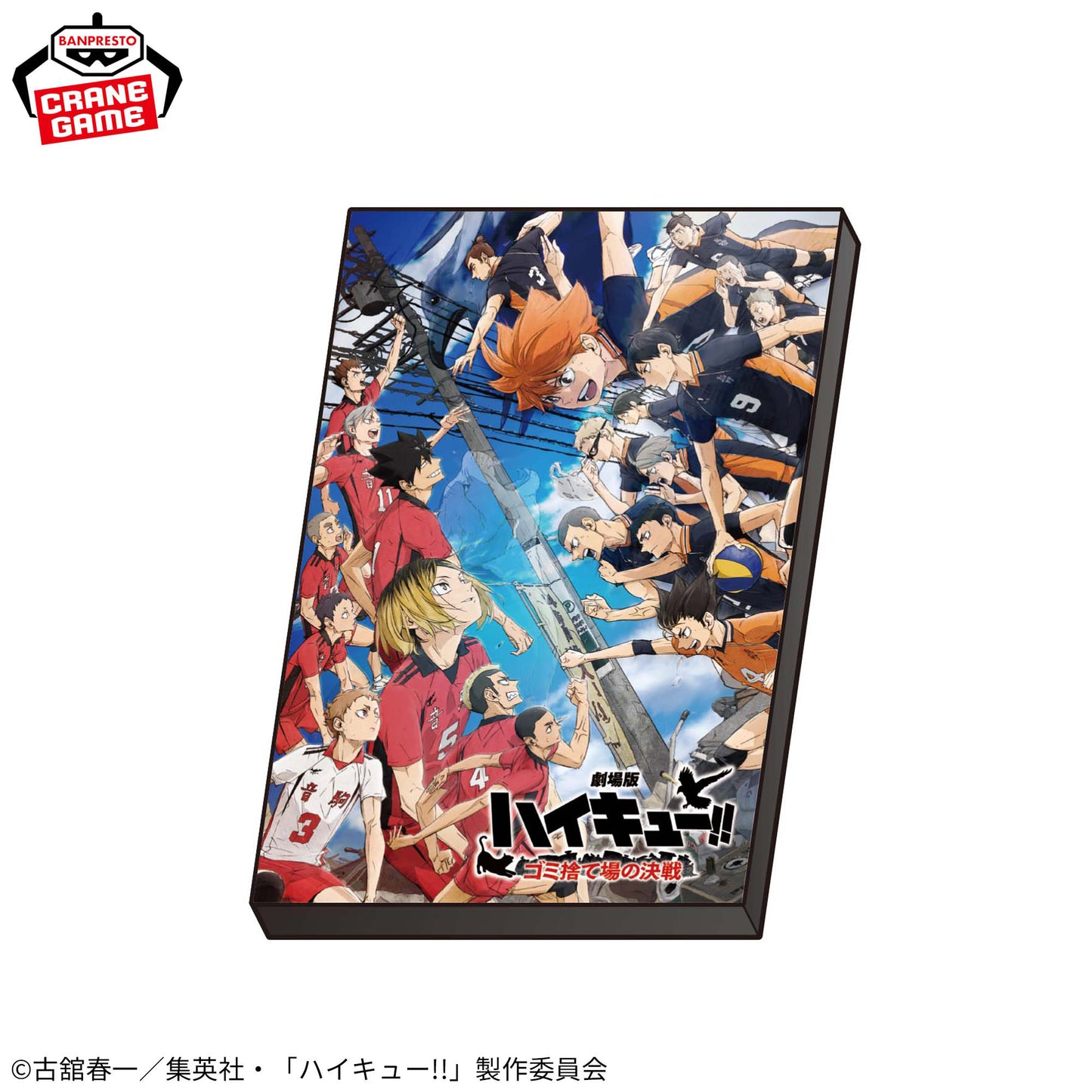 Haikyu!! Visual Art Plate A, Collectibles, animota