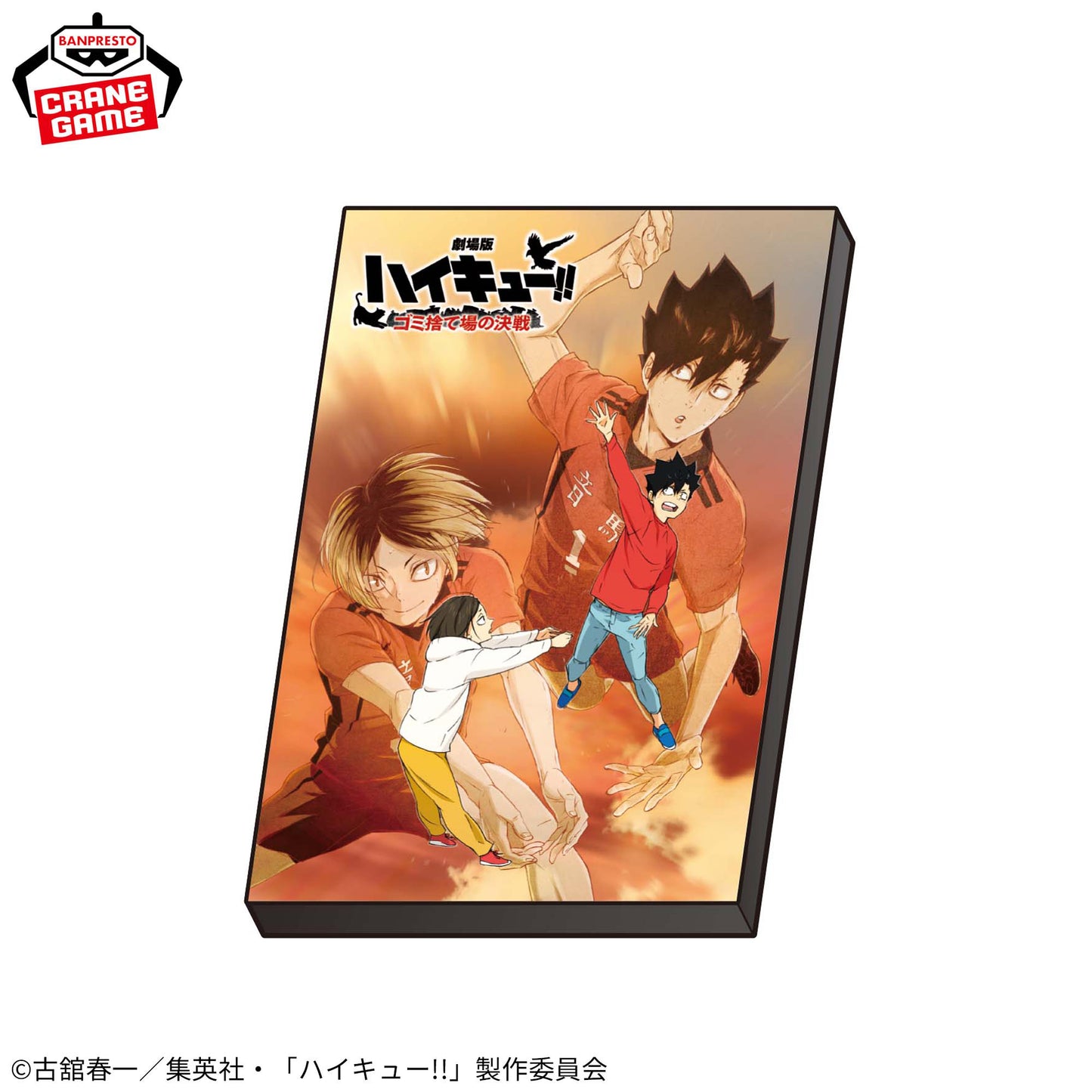 Haikyu!! Visual Art Plate B, Collectibles, animota