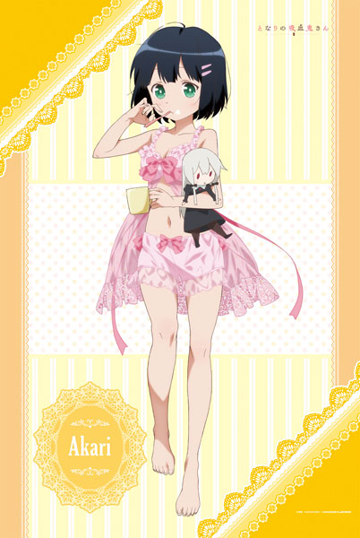 TV Anime "Ms. Vampire Who Lives in My Neighborhood" New Illustration B2 Wall Scroll (2) Akari Amano, Decorative Tapestries, animota