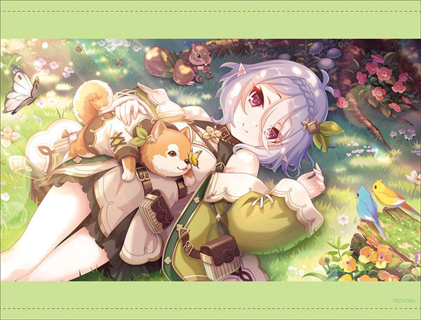 Princess Connect! Re:Dive B2 Wall Scroll (2) Kokkoro (Ranger), Decorative Tapestries, animota