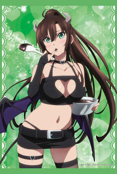 Strike the Blood FINAL New Illustration B2 Wall Scroll Little Devil ver. (3) Sayaka Kirasaka, Decorative Tapestries, animota