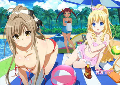 Amagi Brilliant Park - B2 Wall Scroll, Decorative Tapestries, animota