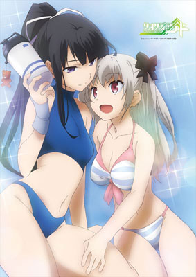 Qualidea Code - Swimsuit B2 Wall Scroll, Decorative Tapestries, animota