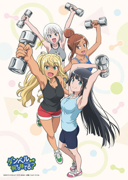TV Anime "How Heavy Are The Dumbbells You Lift?" B2 Wall Scroll, Decorative Tapestries, animota