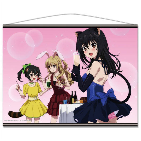 OVA Strike the Blood lll B2 Wall Scroll B Yukina Himeragi & Asagi Aiba & Nagisa Akatsuki, Decorative Tapestries, animota