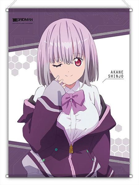 SSSS.GRIDMAN New Illustration Akane B2 Wall Scroll, Decorative Tapestries, animota