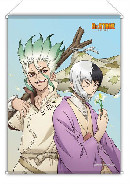 Dr. STONE B2 Wall Scroll, Decorative Tapestries, animota