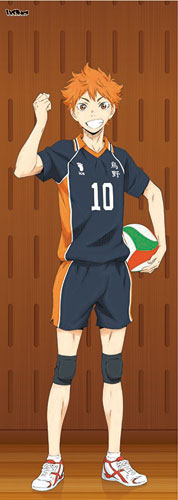 Haikyuu!! - Life-size Wall Scroll: Shoyo Hinata, Decorative Tapestries, animota