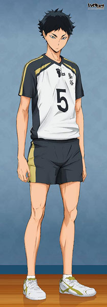 Haikyuu!! - Life-size Wall Scroll: Keiji Akaashi, Decorative Tapestries, animota