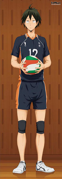 Haikyuu!! - Life-size Wall Scroll: Tadashi Yamaguchi, Decorative Tapestries, animota