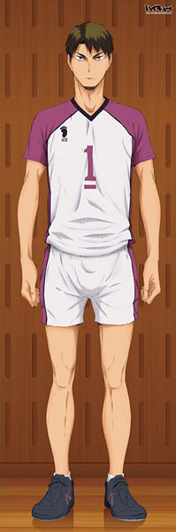 Haikyuu!! - Life-size Wall Scroll: Wakatoshi Ushijima, Decorative Tapestries, animota