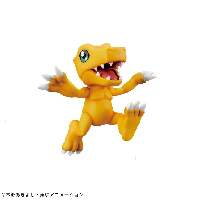Digimon Adventure - DXF - ADVENTURE ARCHIVES - Agumon | animota