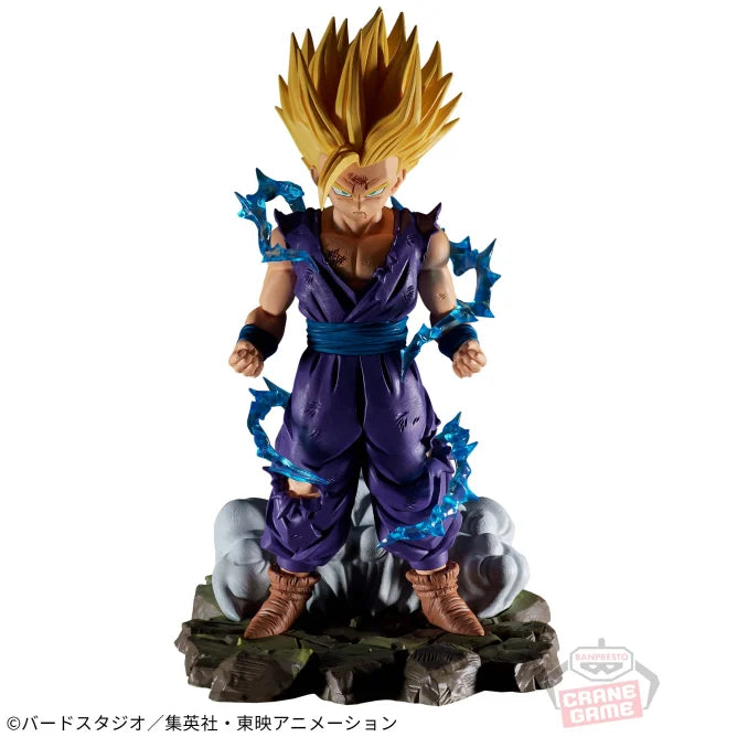 Dragon Ball Z – History Box Band 10 – Son Gohan