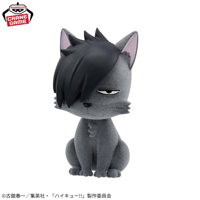 Haikyuu!! Esponjoso hinchado - Kuroo Neko