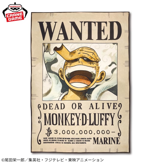 ONE PIECE - Monkey D. Luffy - Bounty Poster Blanket