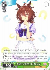 Agnes Tachyon UMA/W106-T12 TD