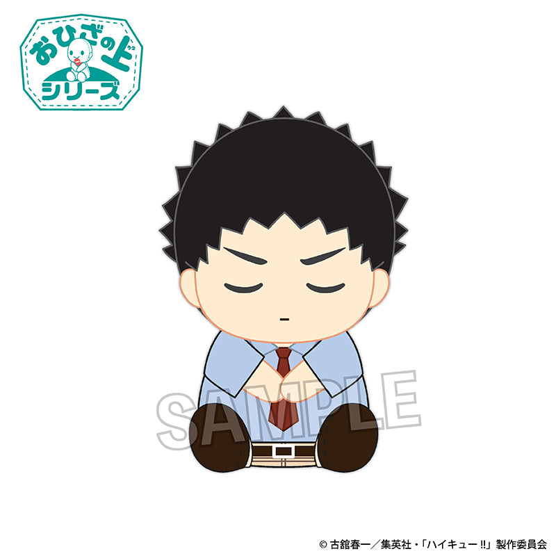 Haikyu!! On the Lap Series Plush Ohirune Ver. Iwaizumi Hajime