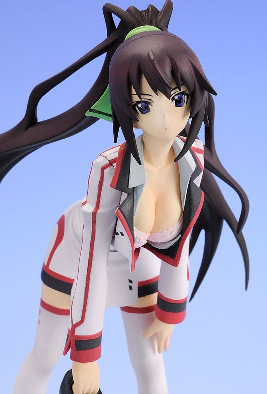 Staind Series #2 Infinite Stratos Houki Shinonono 1/10 Complete Figure | animota
