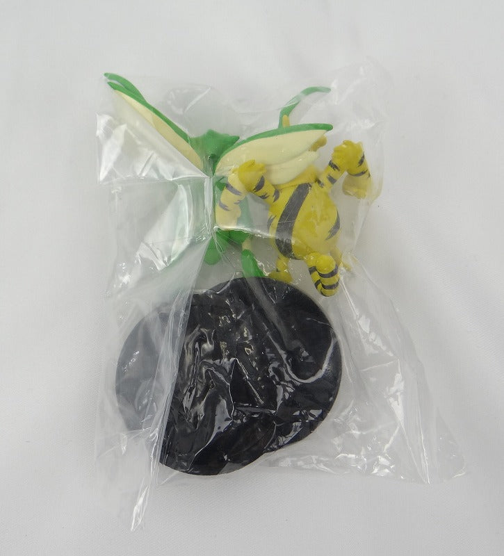 Pokemon Three -dimensional Pokemon Picture Book Special01 7 Eleboo/Strike | animota