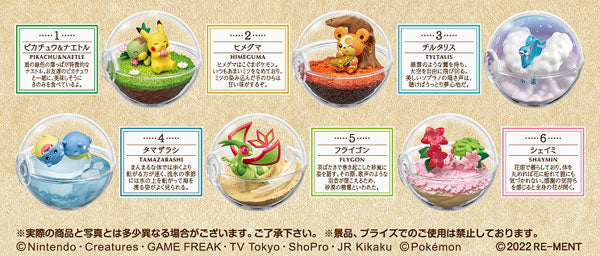 Pokemon Terrarium Collection 11 6Pack BOX (CANDY TOY) | animota