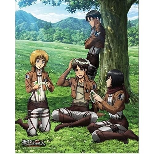 Attack on Titan Canvas Art | animota