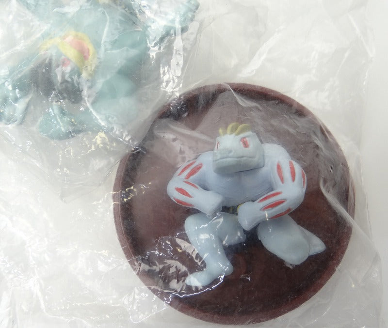 Pokemon Three -dimensional Pokemon Picture Book 5 Volume 03 Wan Riky/Goricie/Kairiky | animota