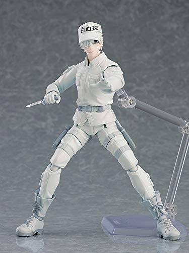 figma Cells at Work! White Blood Cell (Neutrophil) | animota