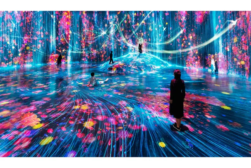teamLab Borderless / Tokyo : Immerse your entire body in art that has no boundaries.