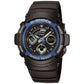 ANALOG-DIGITAL - AW-590 SERIES - AW-591-2AJF
