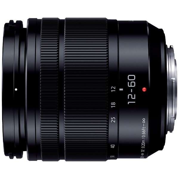 Panasonic Camera Lens LUMIX G VARIO 12-60mm/F3.5-5.6 ASPH./POWER O.I.S. LUMIX Black H-FS12060 [Micro Four Thirds / Zoom Lens]