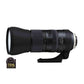 TAMRON Camera Lens SP 150-600mm F/5-6.3 Di VC USD G2 Black A022 [Nikon F / zoom lens], Camera & Video Camera Lenses, animota