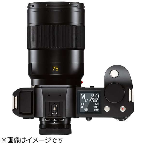 Leica Camera Lens SL F2/75mm ASPH. APO-SUMMICRON Black [Leica L /Single Focal Length Lens]