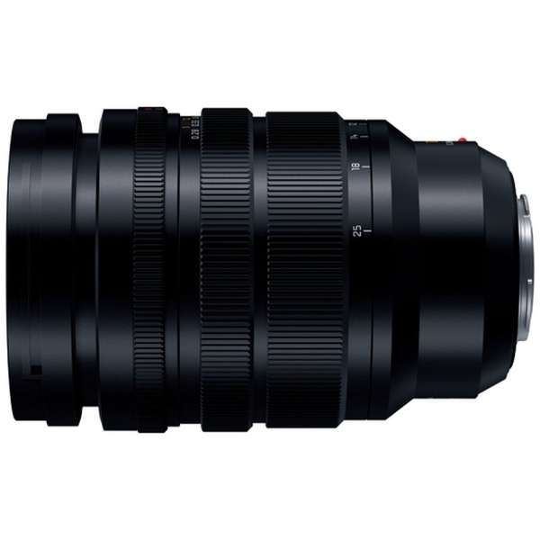 Panasonic Camera Lens LEICA DG VARIO-SUMMILUX 10-25mm/F1.7 ASPH. LUMIX H-X1025 [Micro Four Thirds / zoom lens]