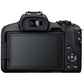 CANON EOS R50 Mirrorless SLR Camera Black [Single body]