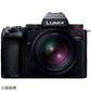 Panasonic Camera Lens LUMIX S 100mm F2.8 MACRO S-E100 [Leica L / Single Focal Length Lens]