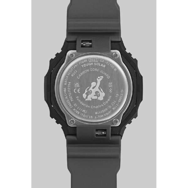 ANALOG-DIGITAL - GA-B2100DF-1AJR