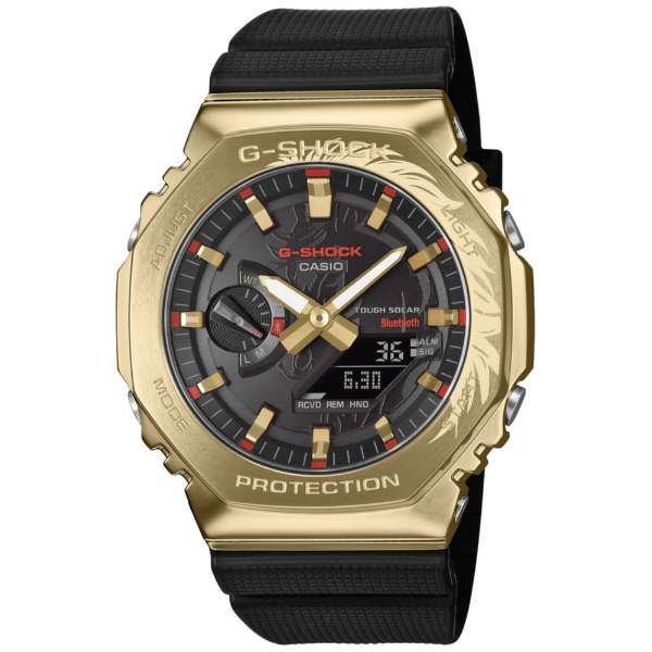 ANALOG-DIGITAL - 2100 Series - GBM-2100CX-9AJR