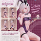 B-style "Iro Bunny" Illustrated by mignon Complete Figure