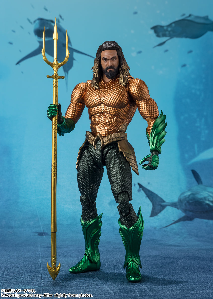 aquaman fish net S.H.Figuarts "Aquaman and the Lost Kingdom" Aquaman (Aquaman and the Lost Kingdom)