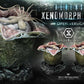 Premium Masterline "Aliens" Dark Horse Comics Xenomorph Egg Open Version | animota