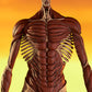 POP UP PARADE "Attack on Titan" Armin Arlert Colossus Titan Ver. L Size | animota