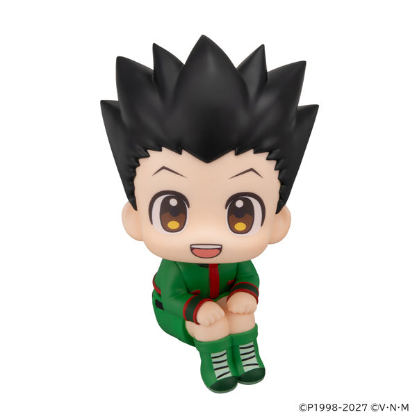 Hunter x Hunter figures and goods | animota