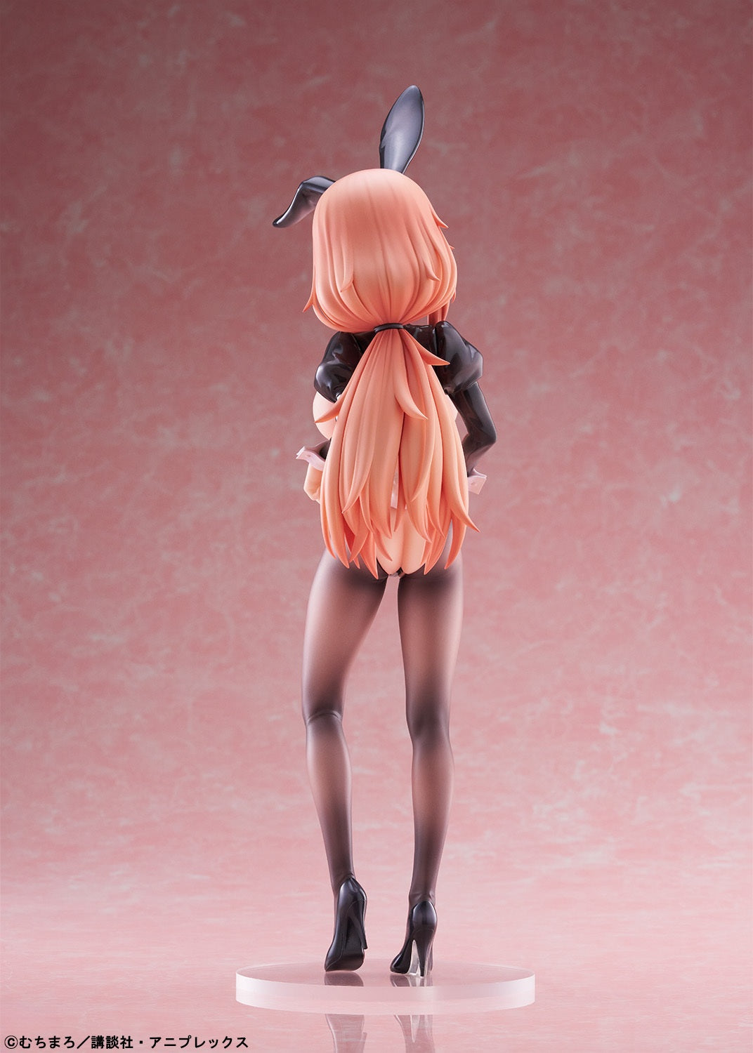 There Is Also a Hole in the Student Organization! Michinoku Komaro Reverse Bunny Ver.